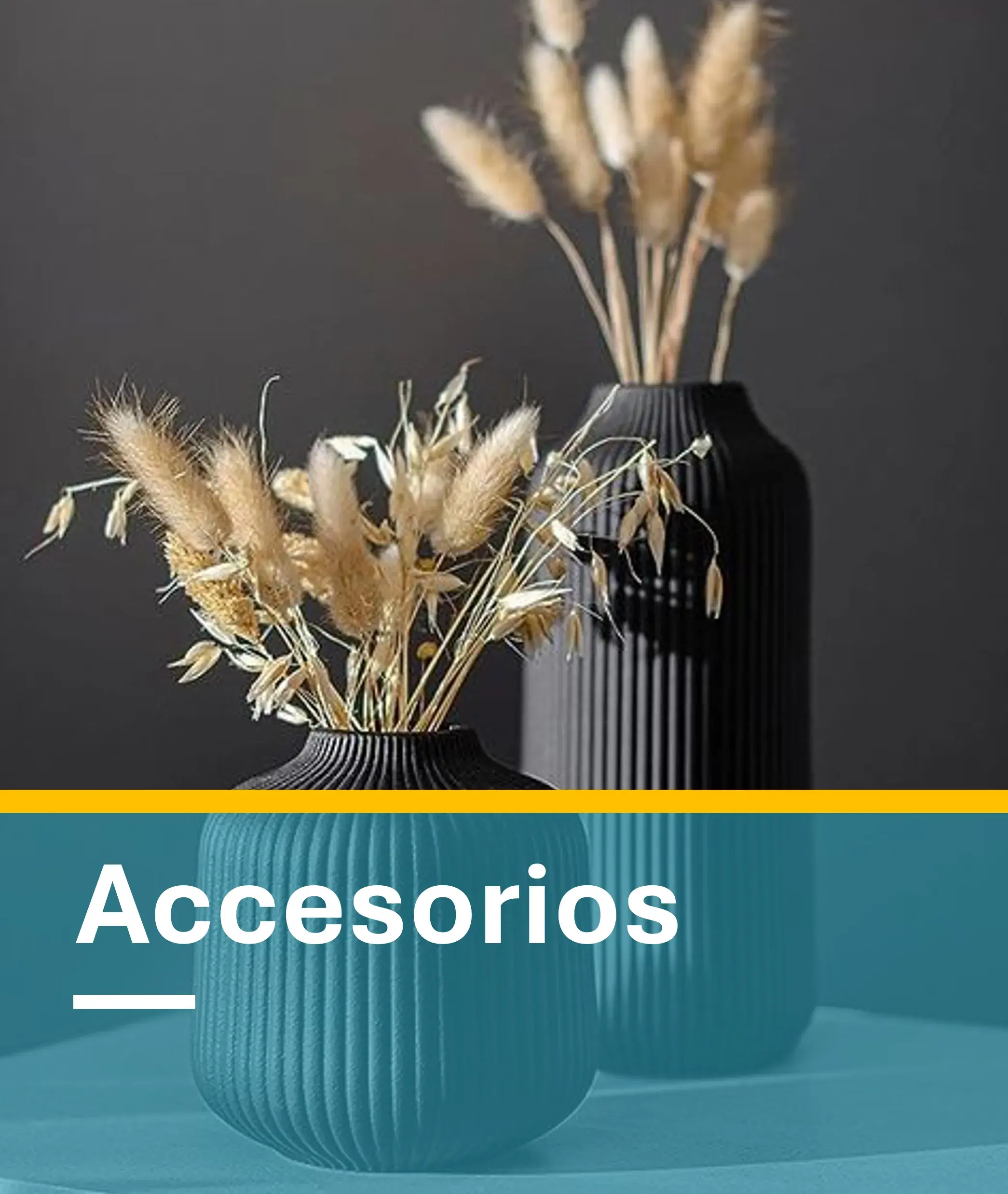 Accesorios